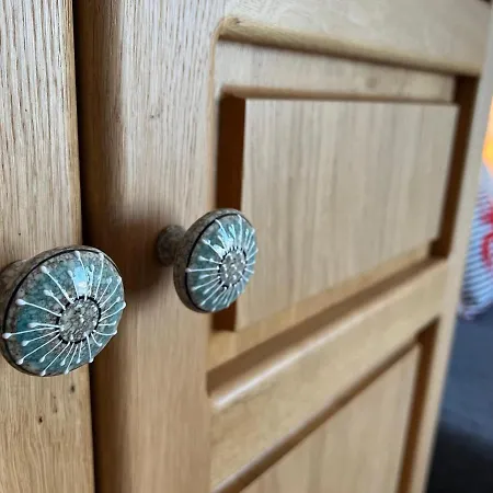 Edi ホームステイ